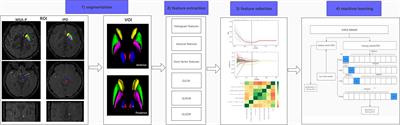 MRI-Based Radiomics of Basal Nuclei in Differentiating Idiopathic Parkinson’s Disease From Parkinsonian Variants of Multiple System Atrophy: A Susceptibility-Weighted Imaging Study